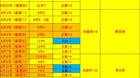 2026独家：美职联赛事全面攻略，12胜7的制胜秘诀
