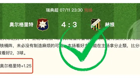全明星赛深度解析：比分赛果详览